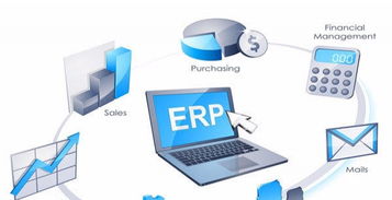 上海软件外包服务 定制与外包的融合创新